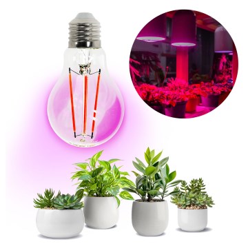 LED Glödlampa för växttillväxt VITABLOOM E27/8W/230V 1200K - Brilagi